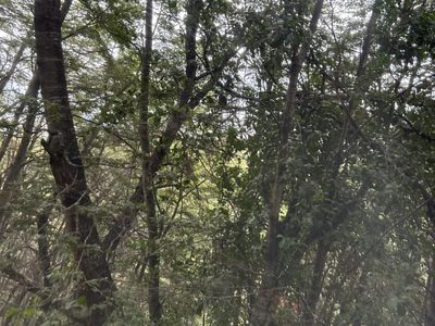 Alto de las Labranzas