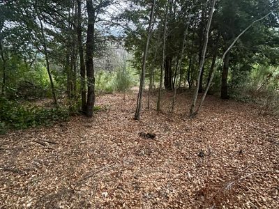Alto de las Labranzas