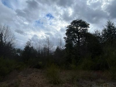 Alto de las Labranzas