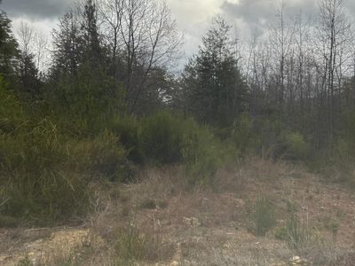 Alto de las Labranzas