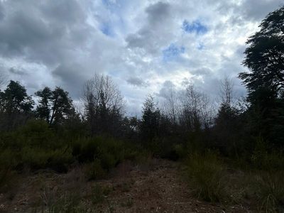 Alto de las Labranzas
