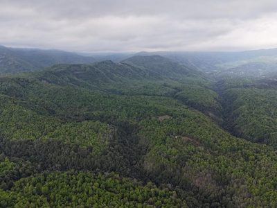 Alto de las Labranzas