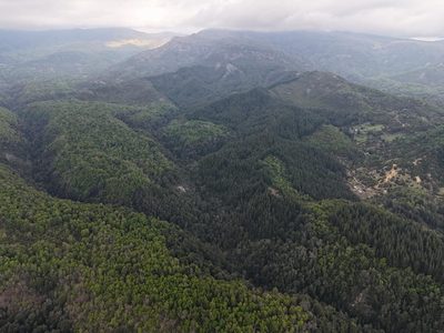 Alto de las Labranzas