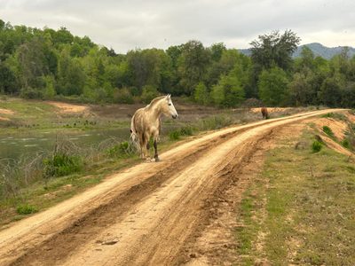 Alto de las Labranzas