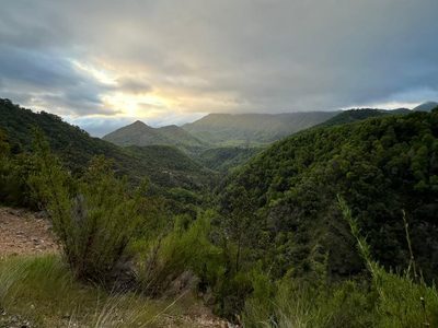 Alto de las Labranzas